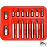 TORX PLUS SPLINE  3/8DR SET 16 PCE T10