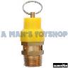 PRESSURE RELEASE VALVE 1/2 BSP 10 BAR