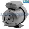 ELECTRIC MOTOR 3/4 HP1390 RPM 5/8 SHAFT
