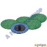 NLA* SANDING DISC 50MM QUICK LOCK 5 PACK