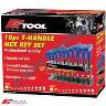T HANDLE ALLEN KEY SAE SET 10 PIECE